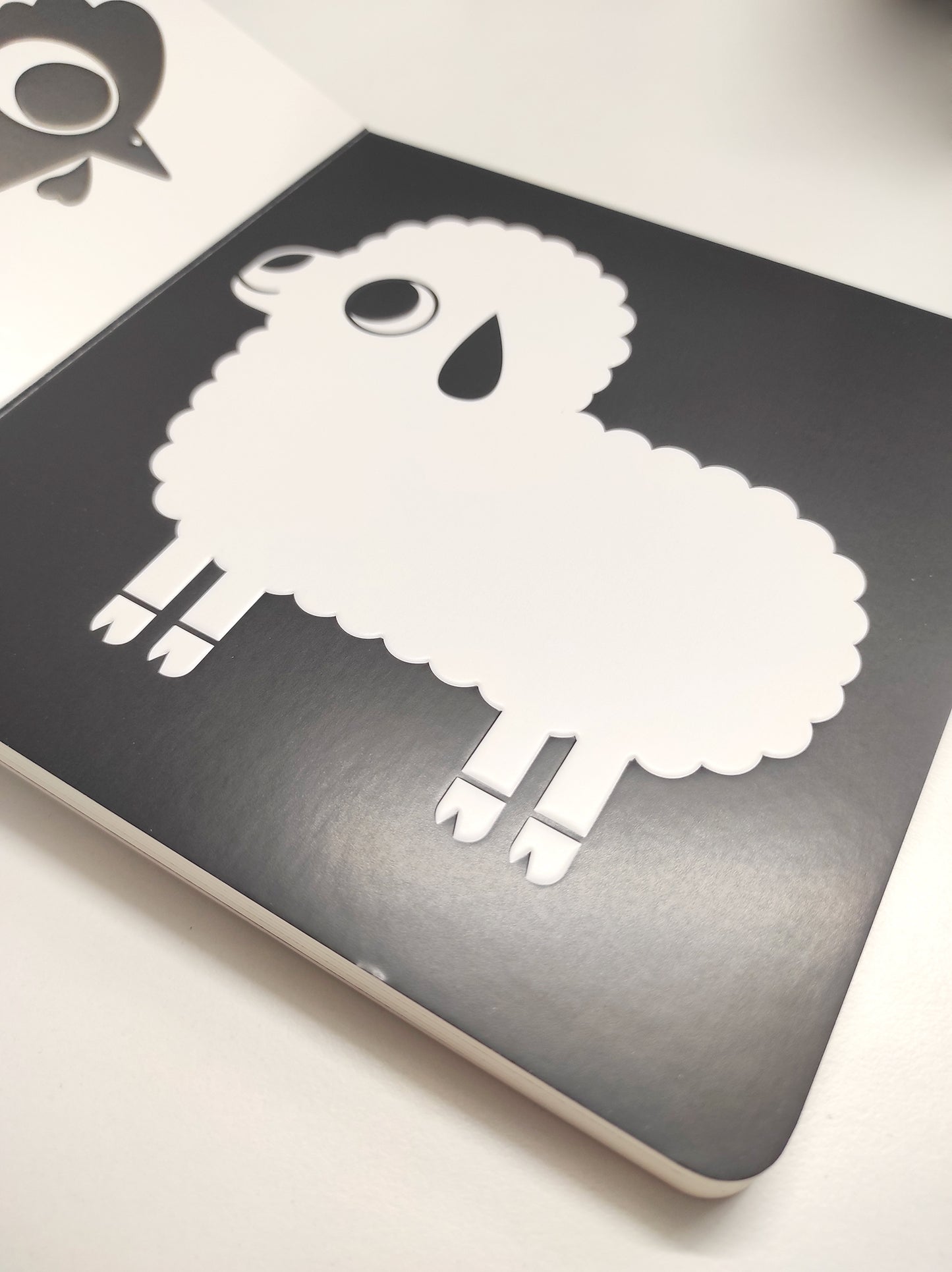 Gli animali