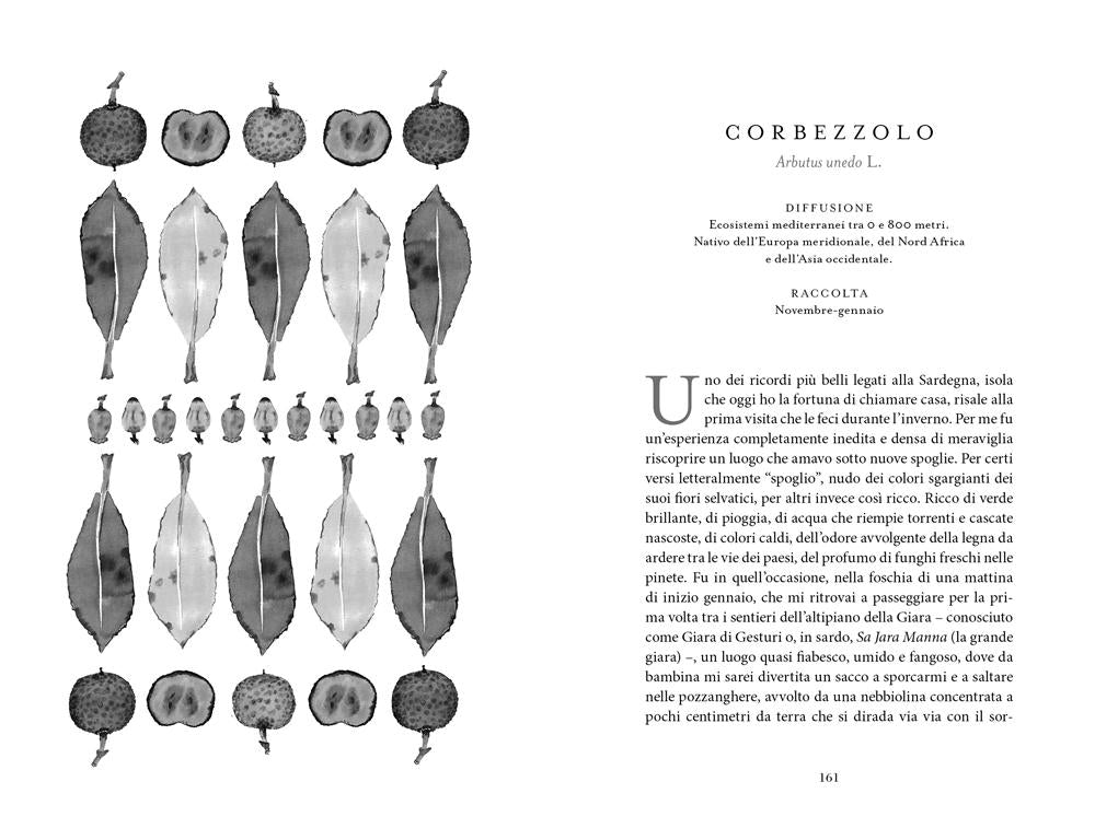 Botanica nascosta. Storia, curiosità, superpoteri delle piante dimenticate. Storia, curiosità, superpoteri delle piante dimenticate