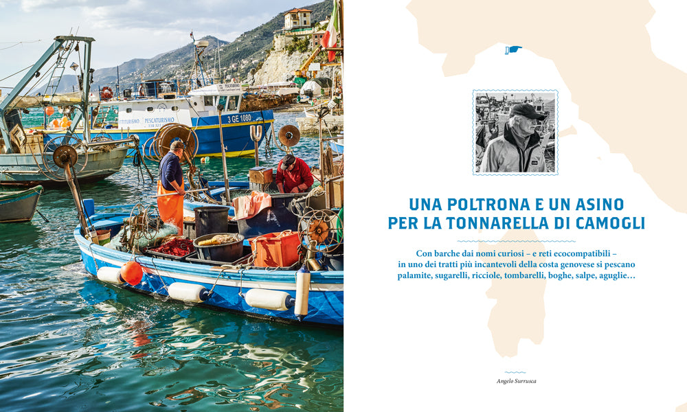 PESCE. LA PICCOLA PESCA E LA SUA CUCINA. LA PICCOLA PESCA E LA SUA CUCINA. 15 STORIE, 75 RICETTE