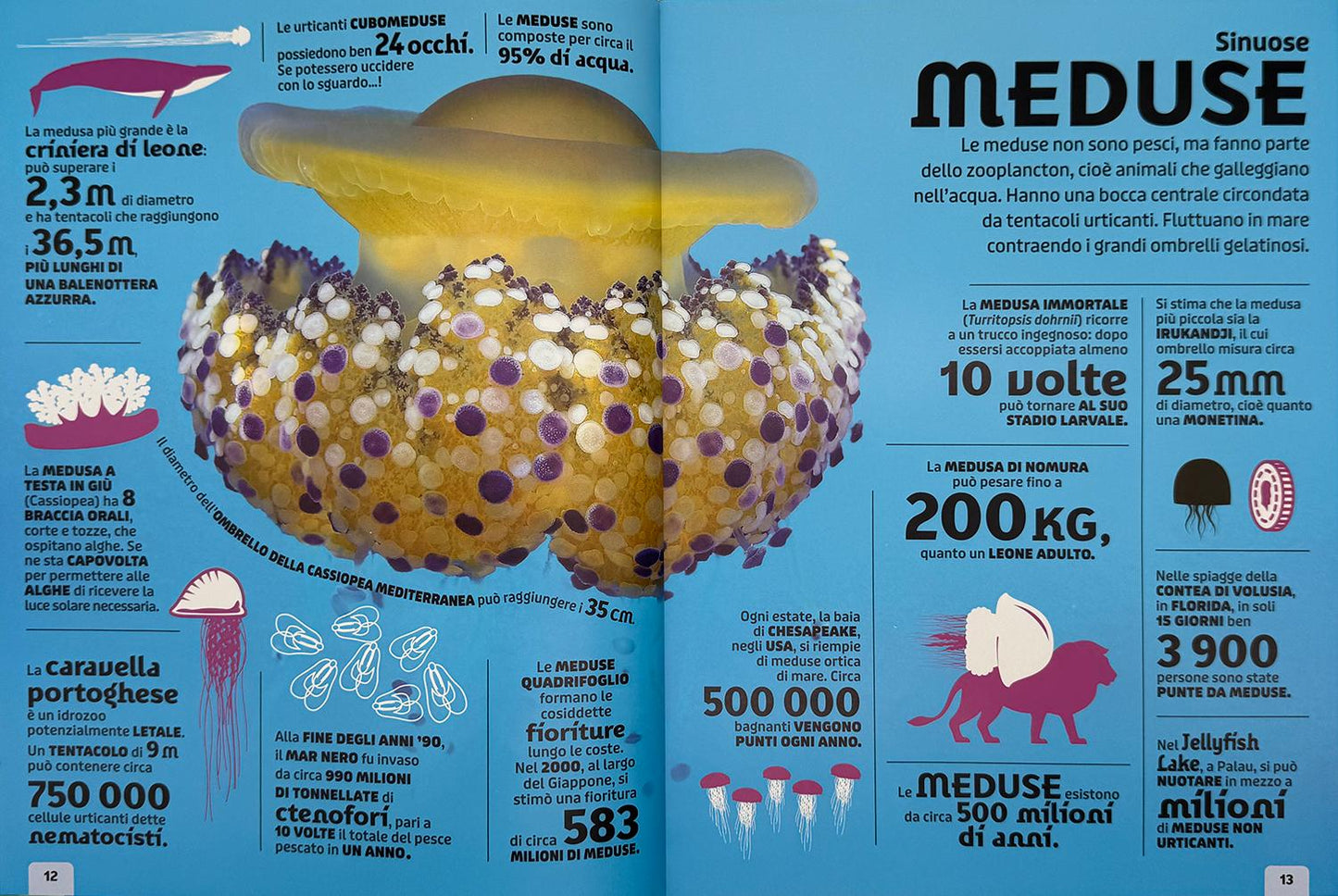 Animali. Un'enciclopedia di fatti fantastici