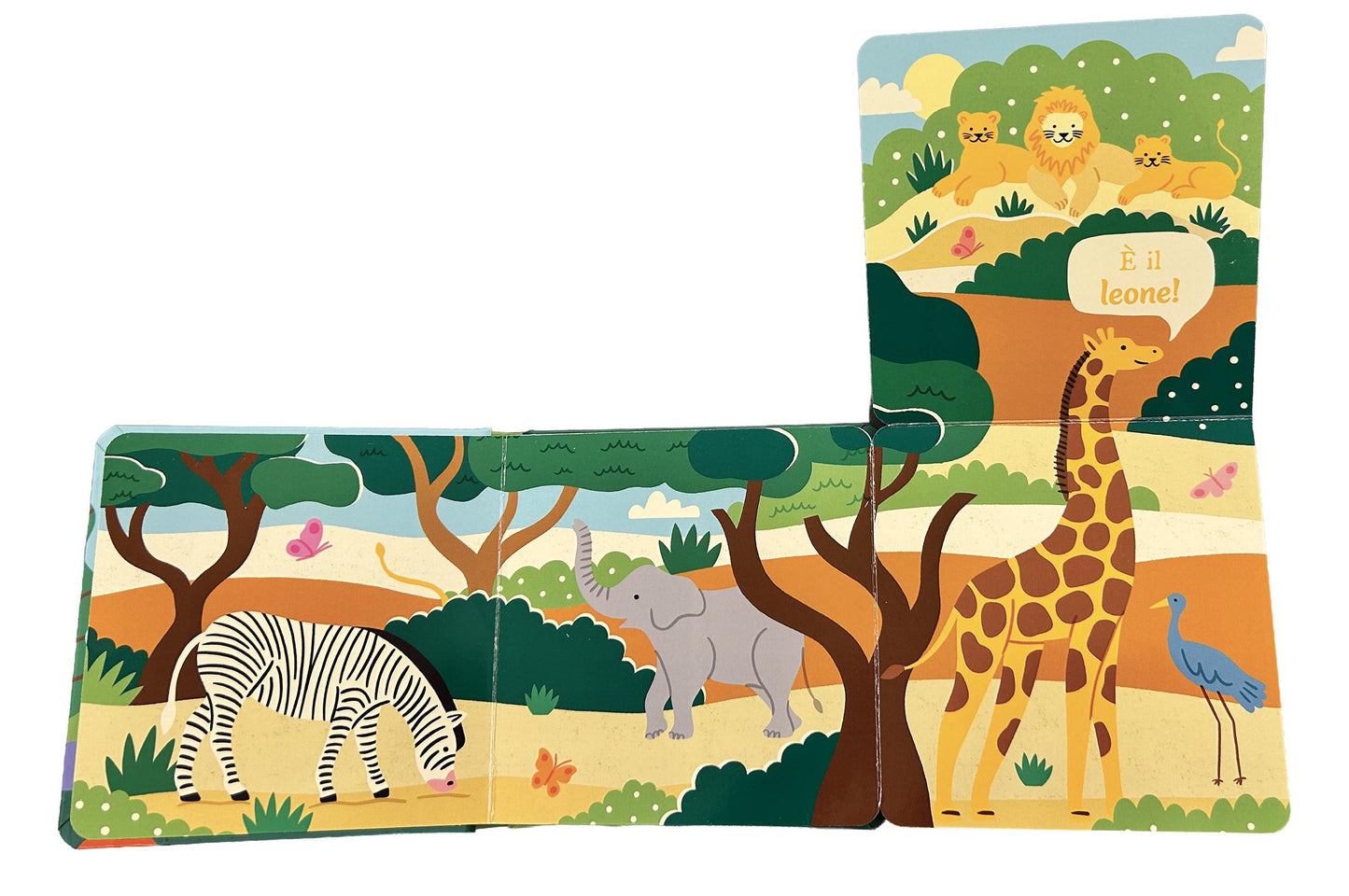 Indovina chi c'è - Animali del mondo