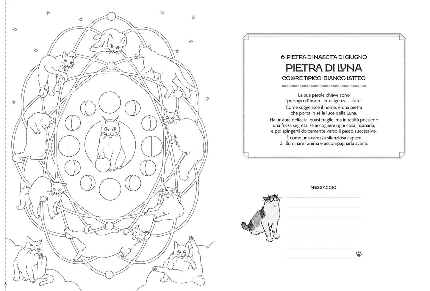 Mandala dei Gatti. Coloring Book per Cat Lovers