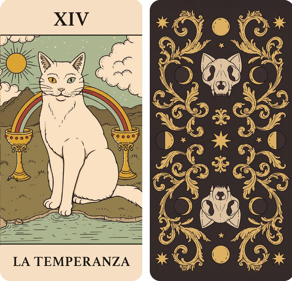 Tarocchi Magici dei gatti Mini