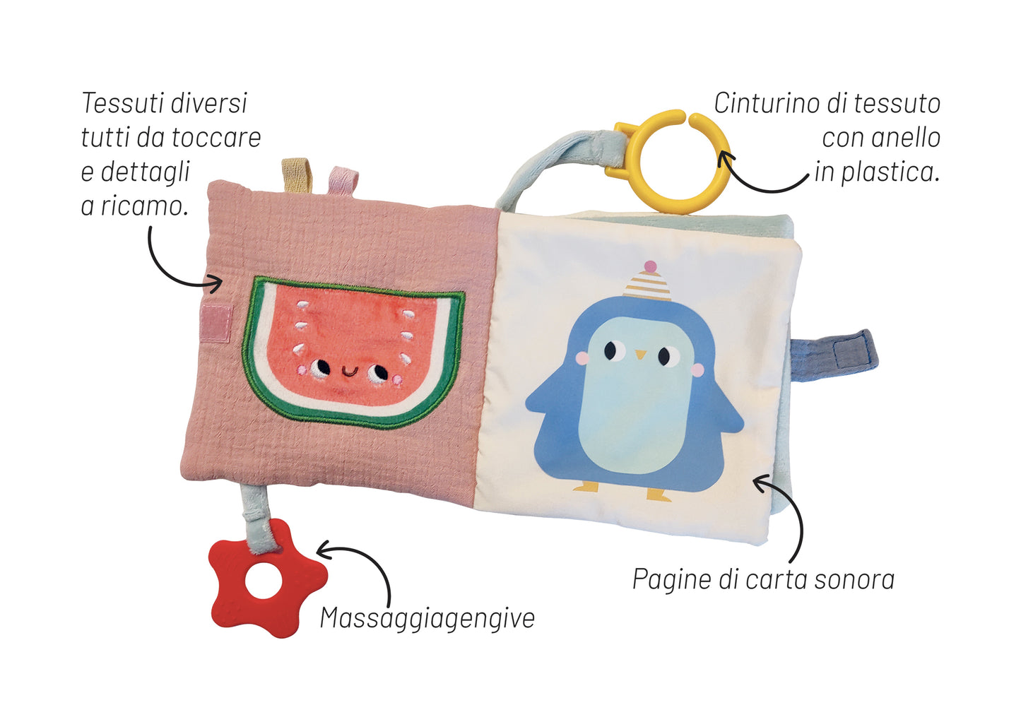 La coccinella. Un libro tutto da esplorare