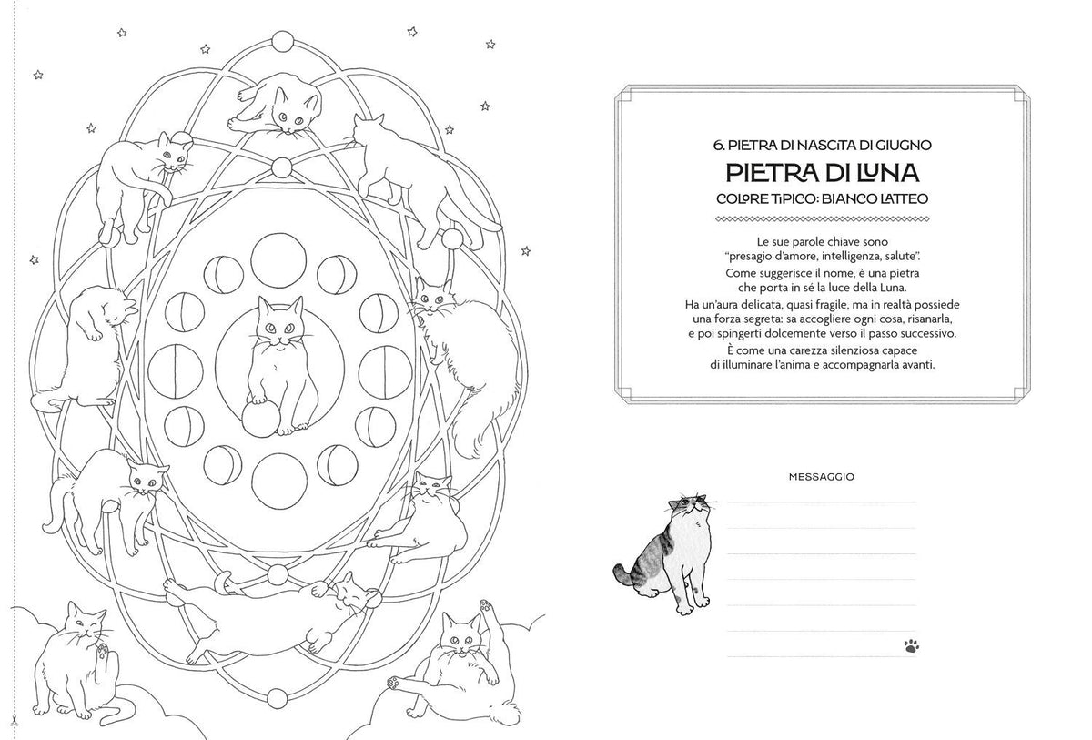 Mandala dei Gatti. Coloring Book per Cat Lovers