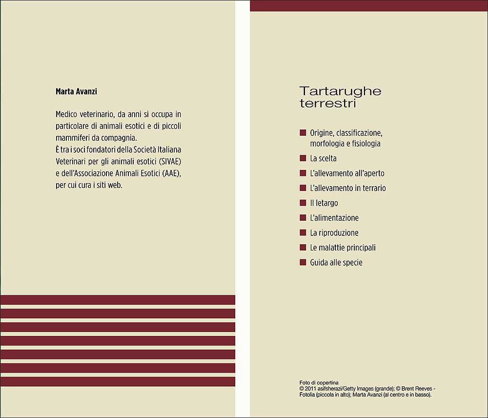 Tartarughe terrestri. Morfologia - Specie - Allevamento - Alimentazione - Riproduzione - Igiene - Salute