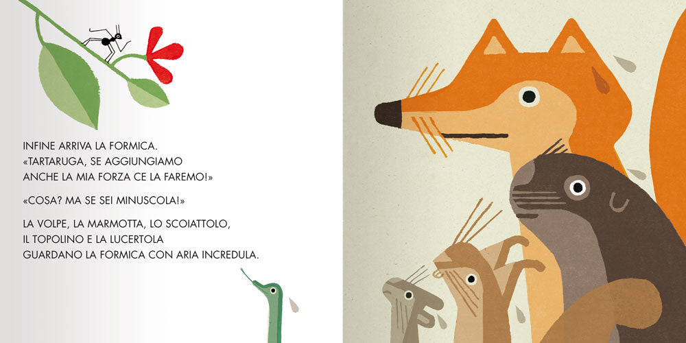 Gira la tartaruga!