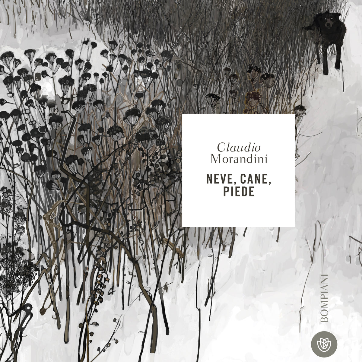 Neve, Cane, Piede