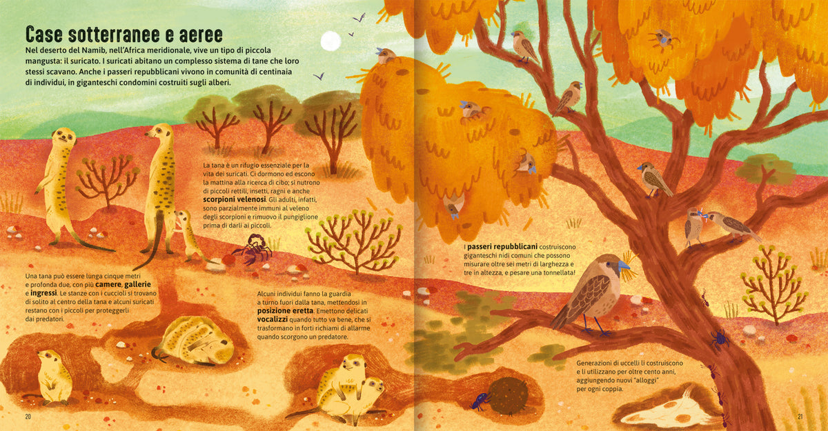 Case degli animali - Terra. Esplora gli habitat della natura