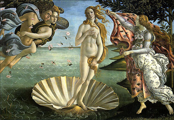Cartolina. Firenze - Galleria degli Uffizi. La nascita di Venere (1484 circa)
