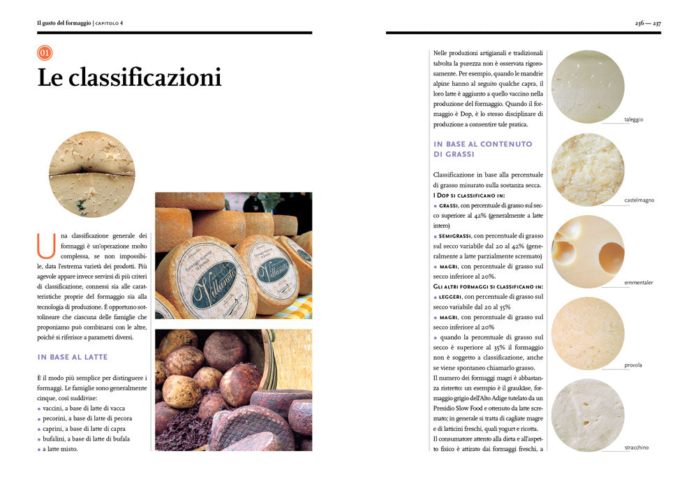 Il gusto del formaggio. Conoscere le forme del latte