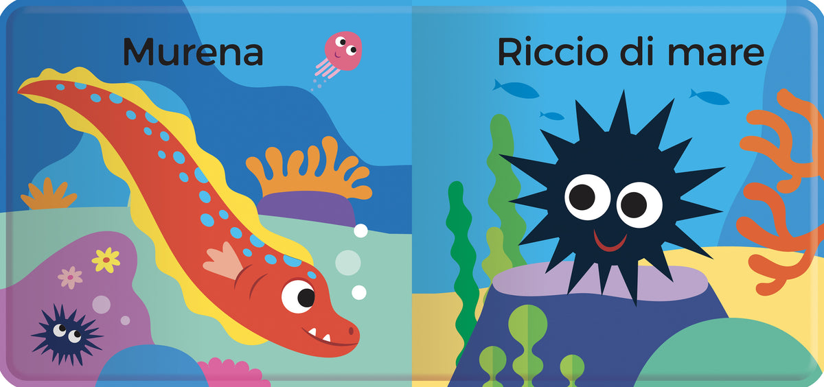 Stella marina. e i suoi amici