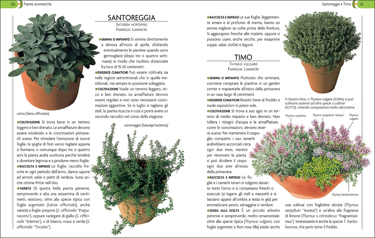 L'Orto Sul Balcone