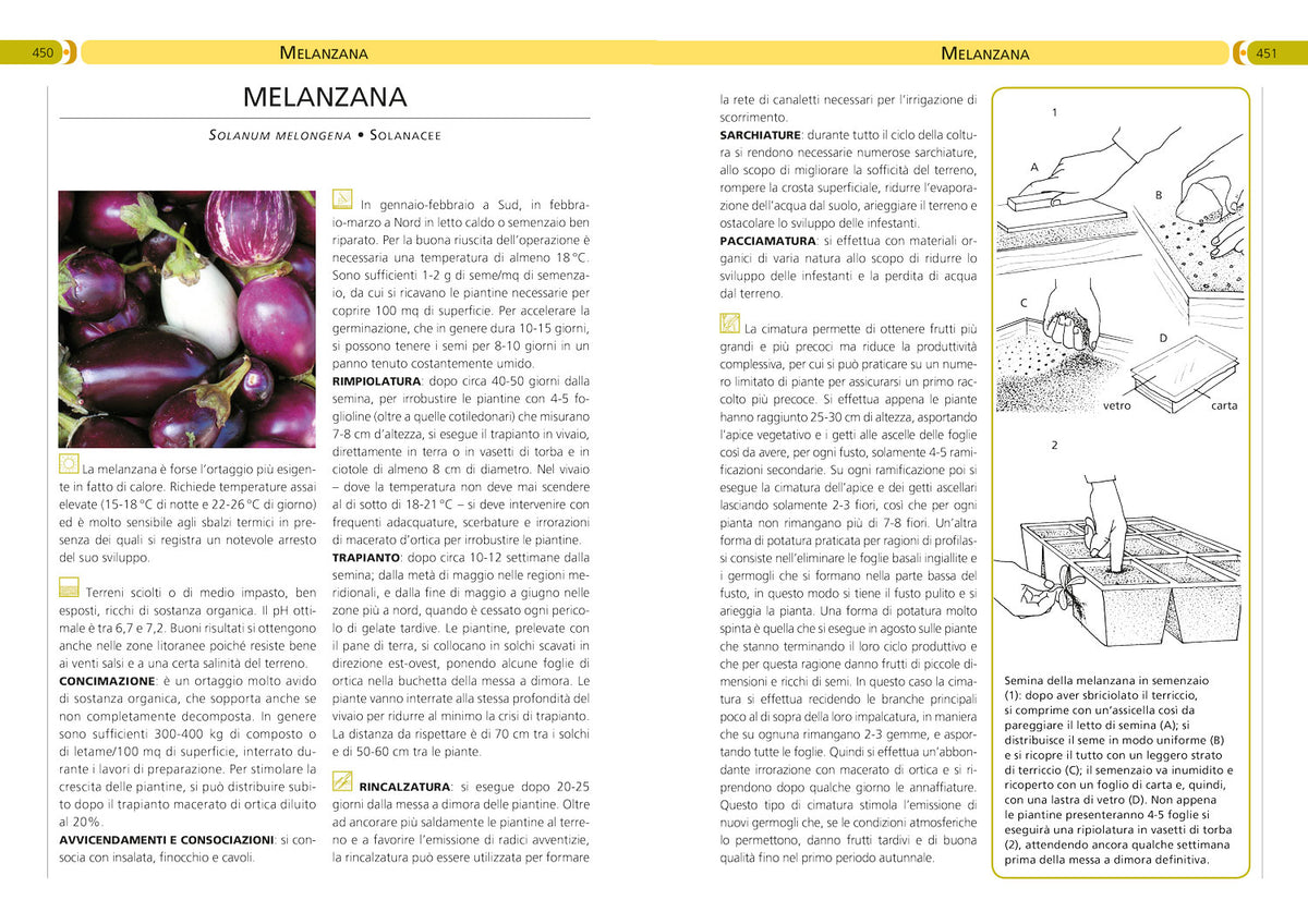 Orto, frutteto, giardino. Il manuale completo