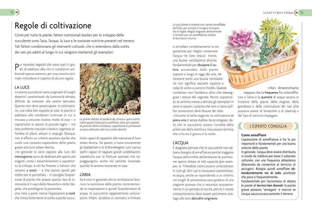 Cactus e Piante Grasse