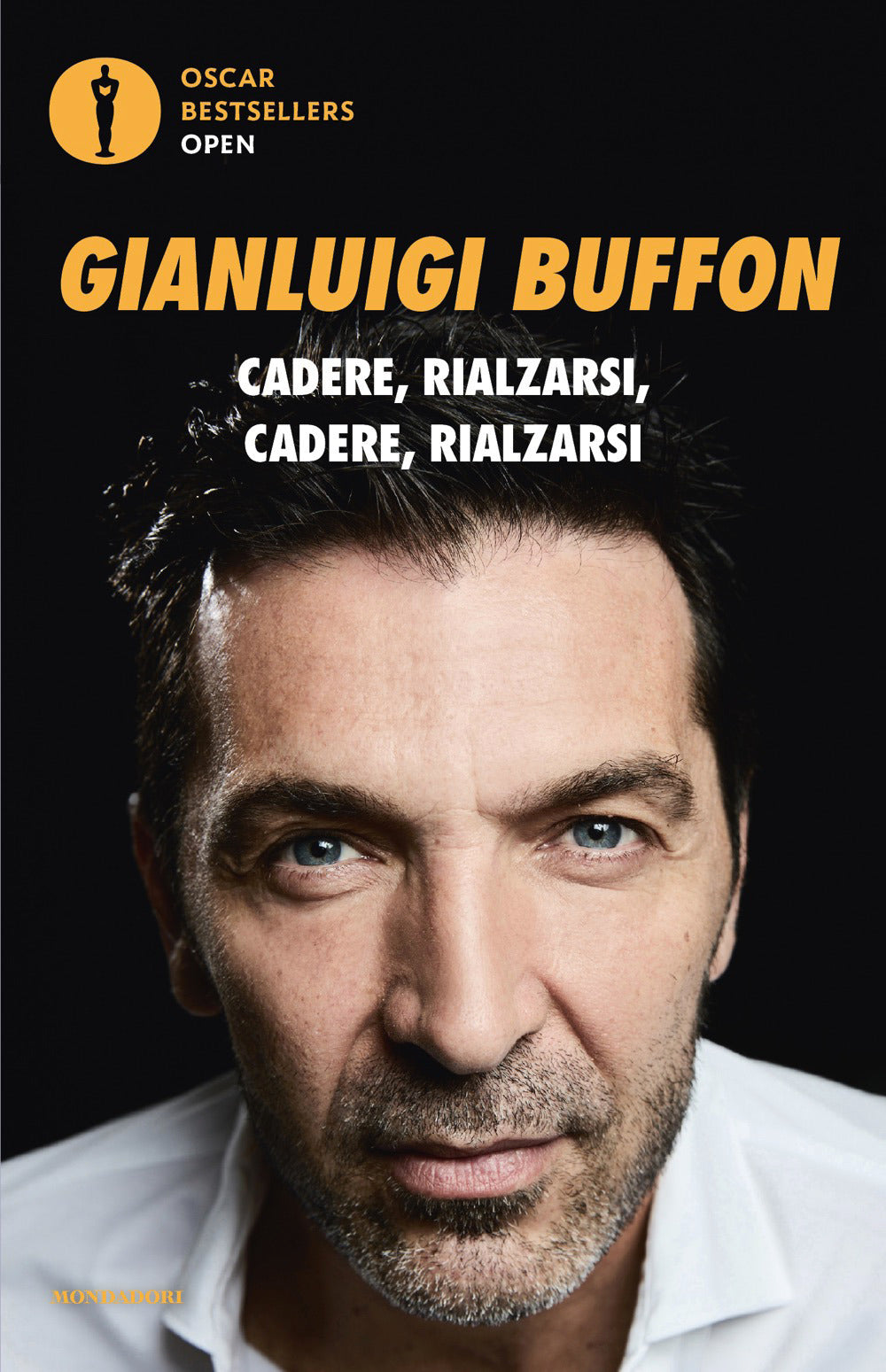 Cadere, rialzarsi, cadere, rialzarsi
