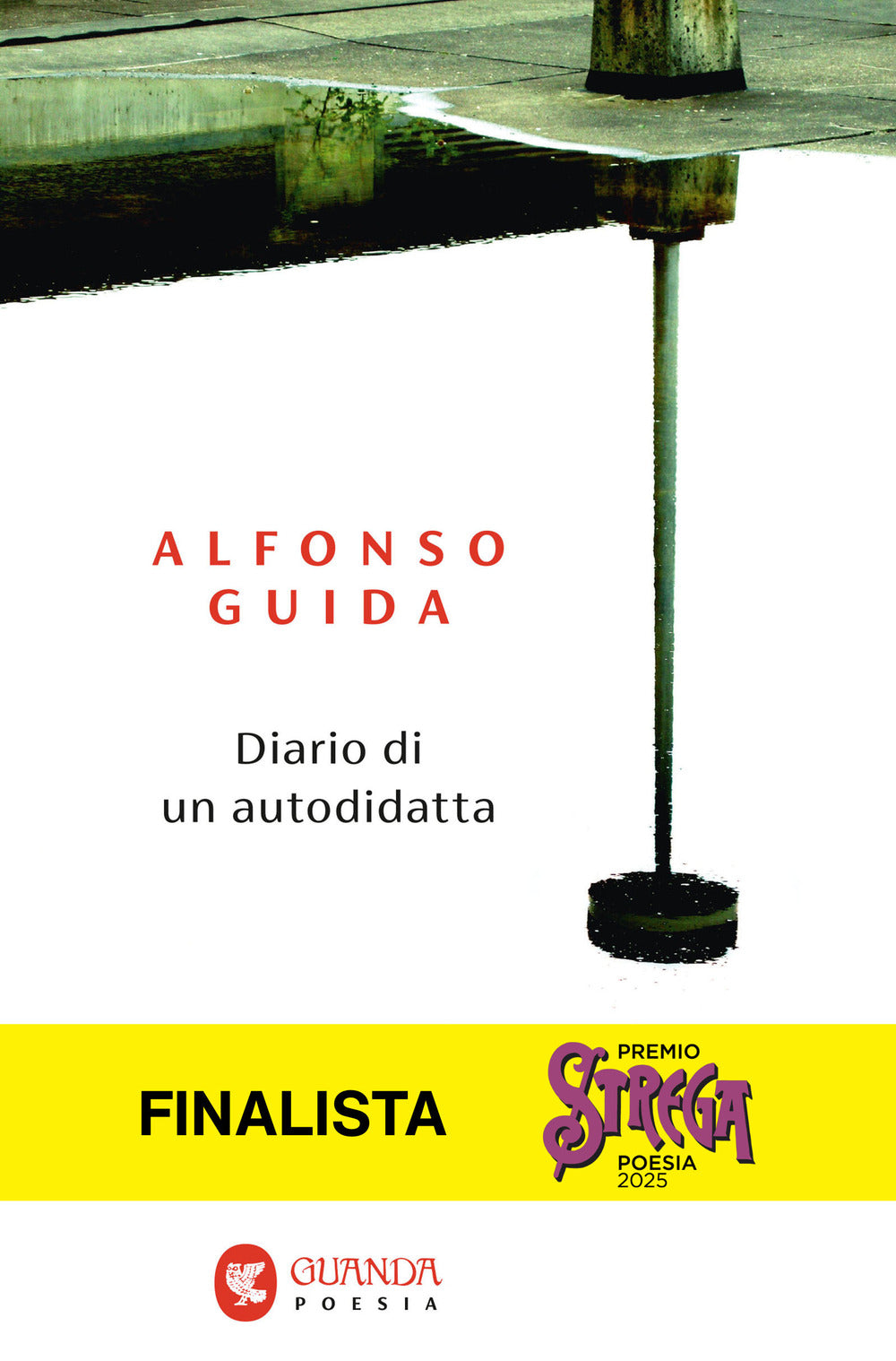 Diario di un autodidatta