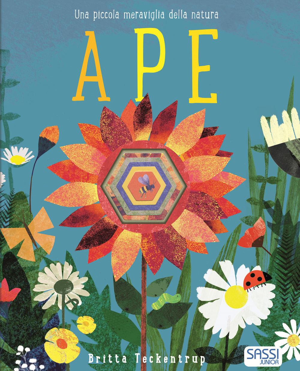 Ape