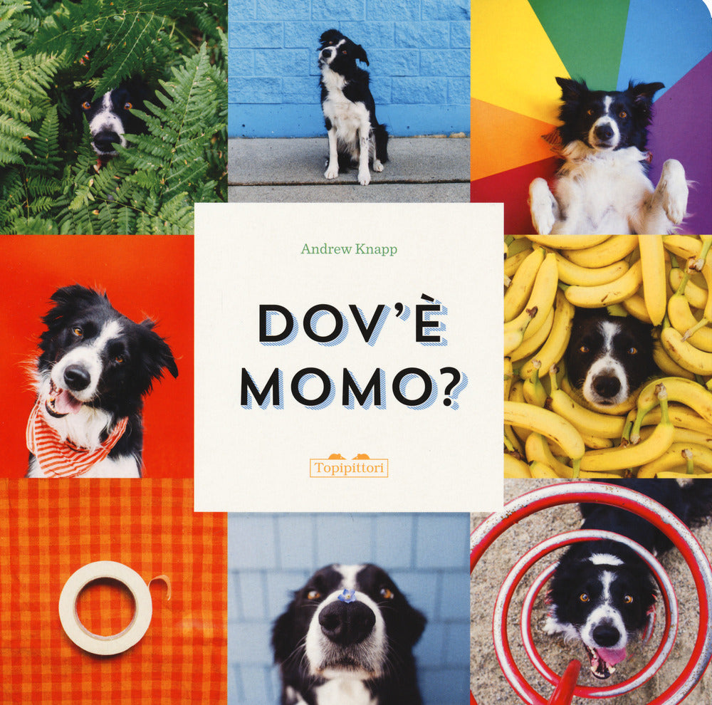 Dov'è Momo? Ediz. a colori