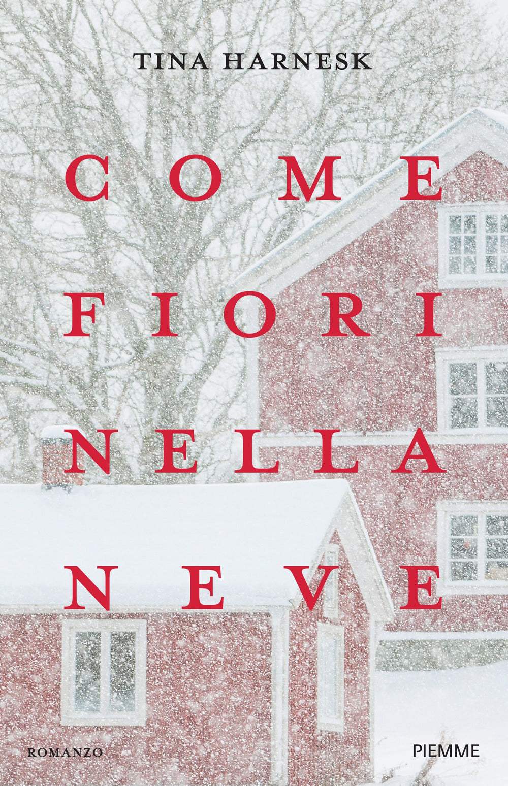 Come fiori nella neve