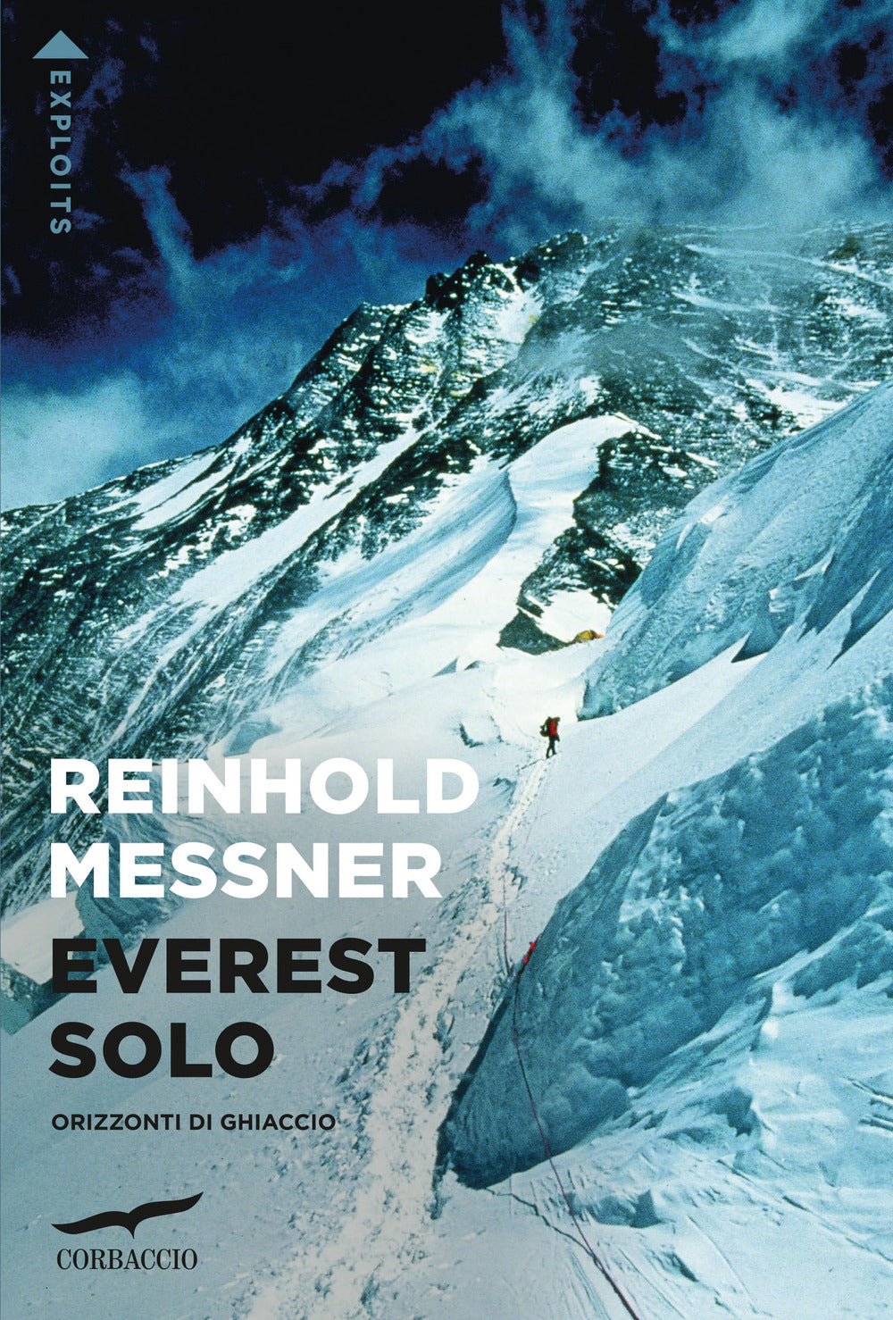 Everest solo. Orizzonti di ghiaccio