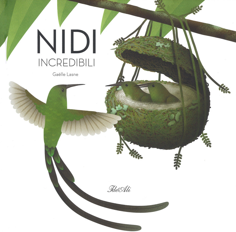 Nidi incredibili. Ediz. a colori.