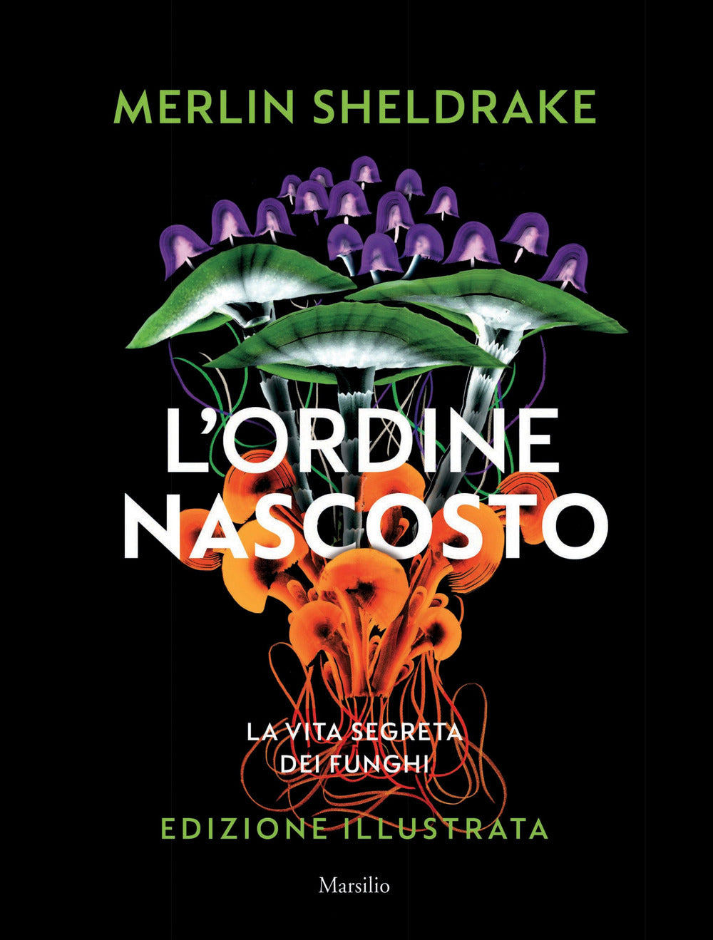 L'ordine nascosto. Ediz. a colori