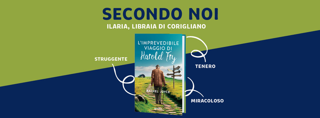 Recensione "L'imprevedibile viaggio di Harold Fly", Rachel Joyce