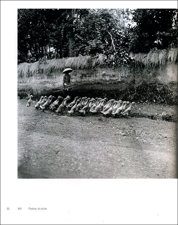 L'isola degli dei. Gotthard Schuh. Fotografie. Bali 1938