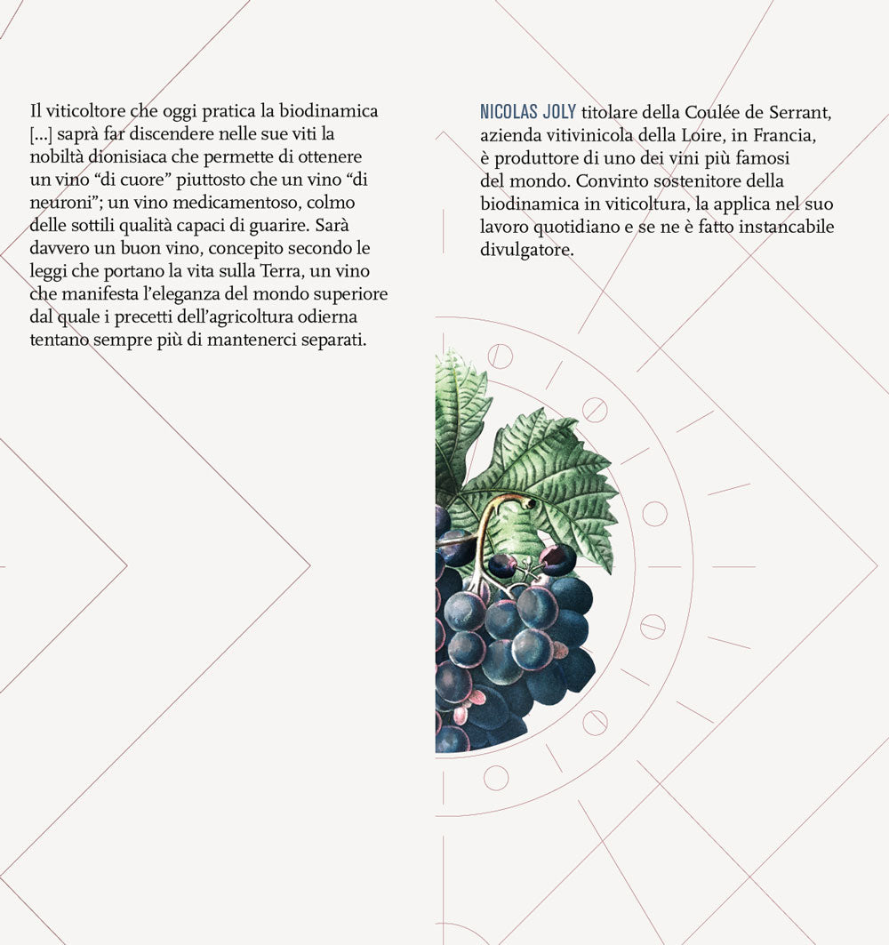 La vigna, il vino e la biodinamica