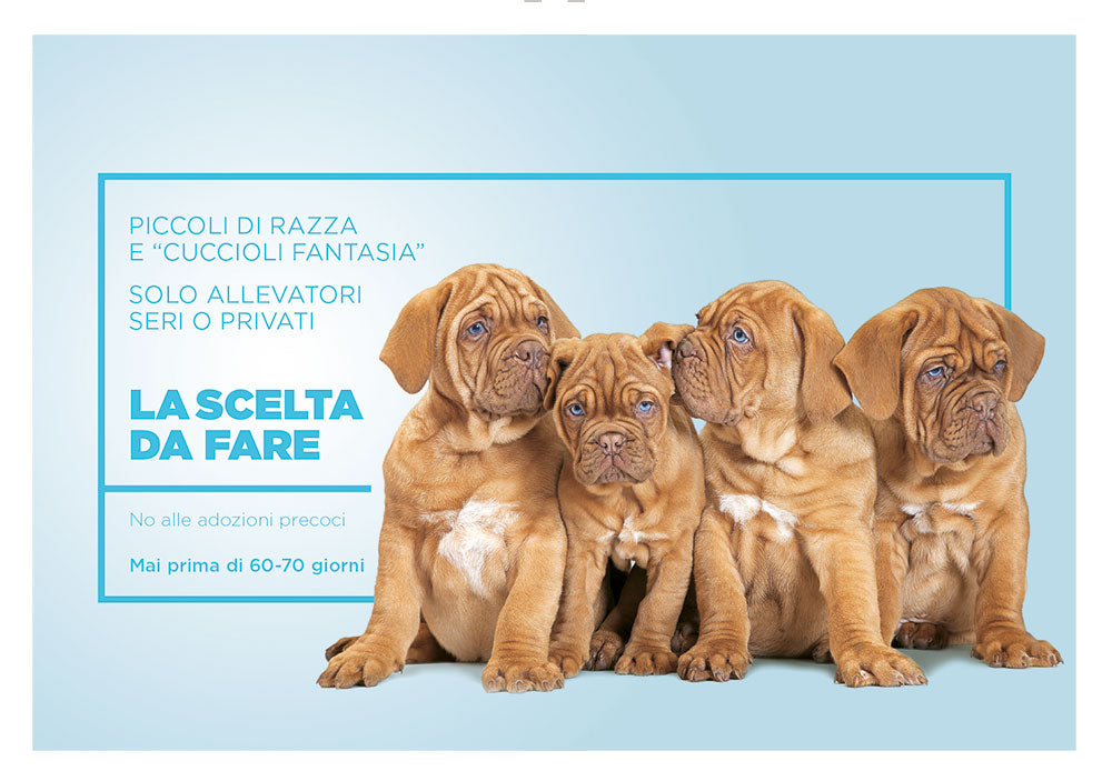 Arriva un cucciolo! . che cosa sapere e che cosa fare per accogliere il tuo nuovo amico
