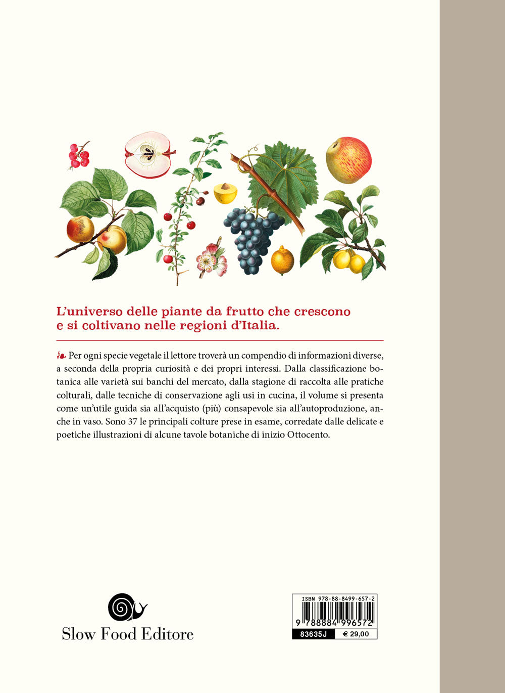 Atlante gastronomico della frutta