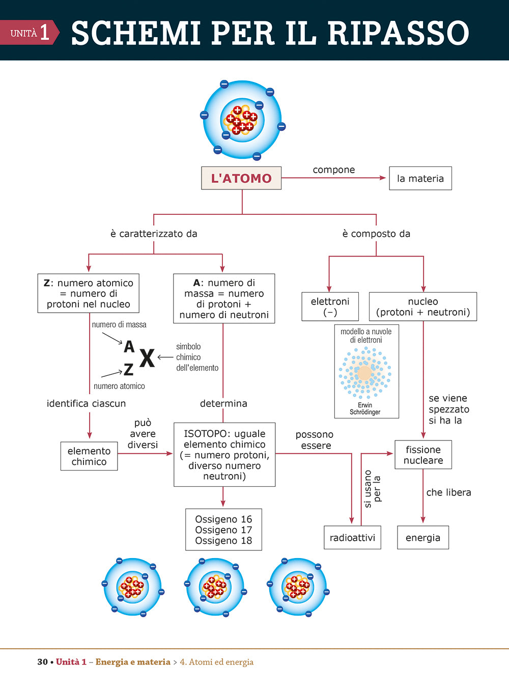 I Saperi Essenziali di Scienze. per la scuola secondaria di I grado
