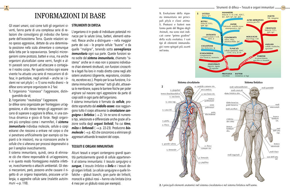 Sistema immunitario