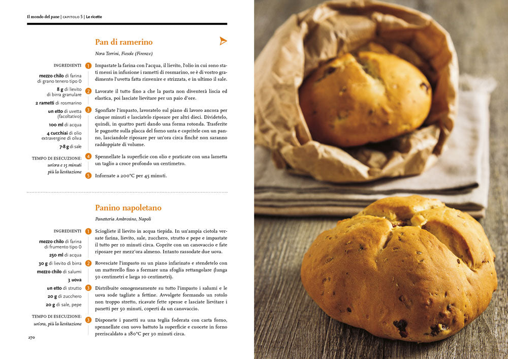Il mondo del pane. Il libro per conoscerlo, sceglierlo, farlo in casa