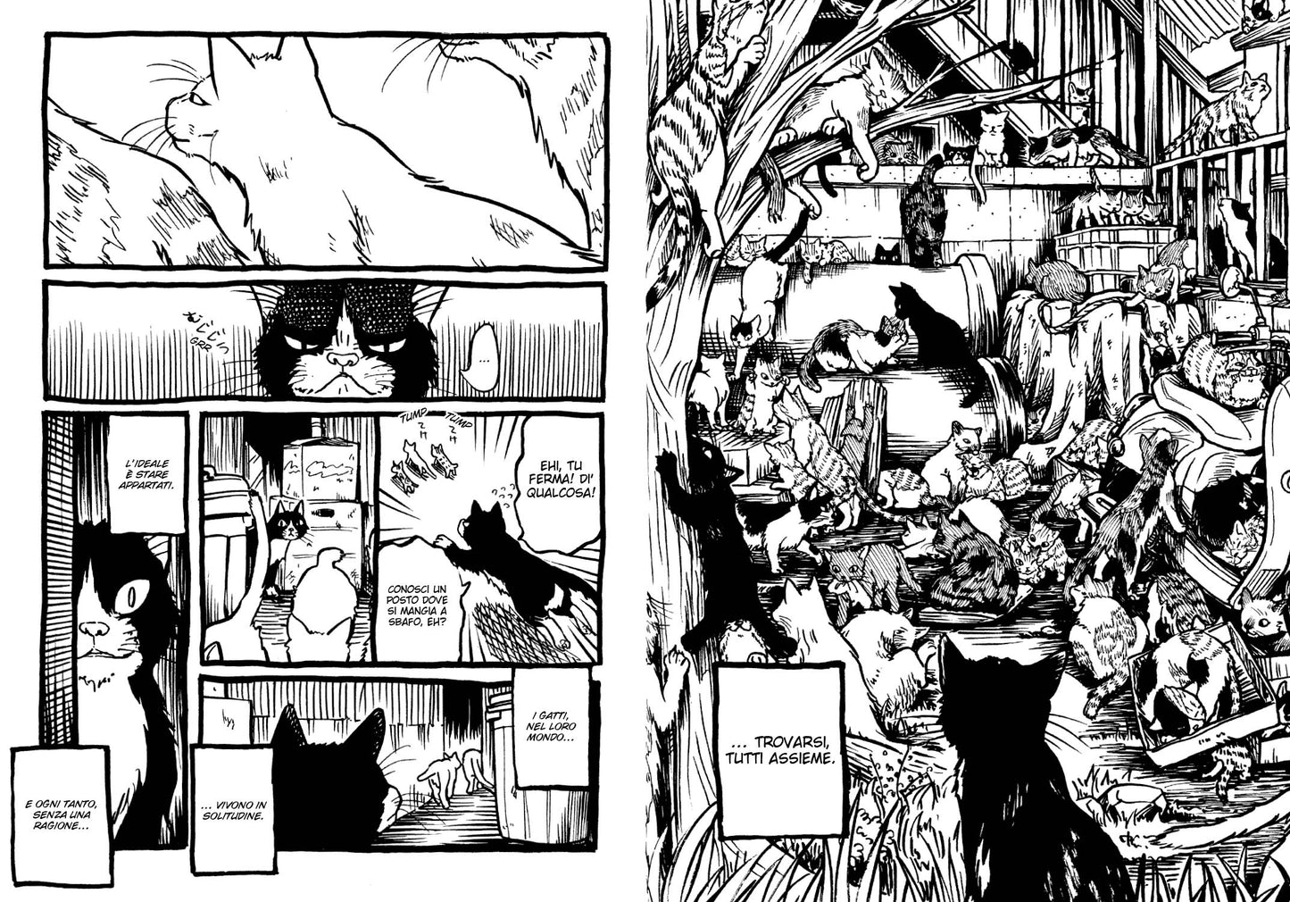 RANDAGI - Vita da gatti VOL. 1