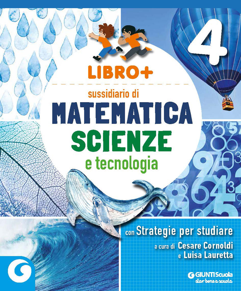 LIBRO + -  cl 4 Matematica e Scienze. Sussidiario delle discipline