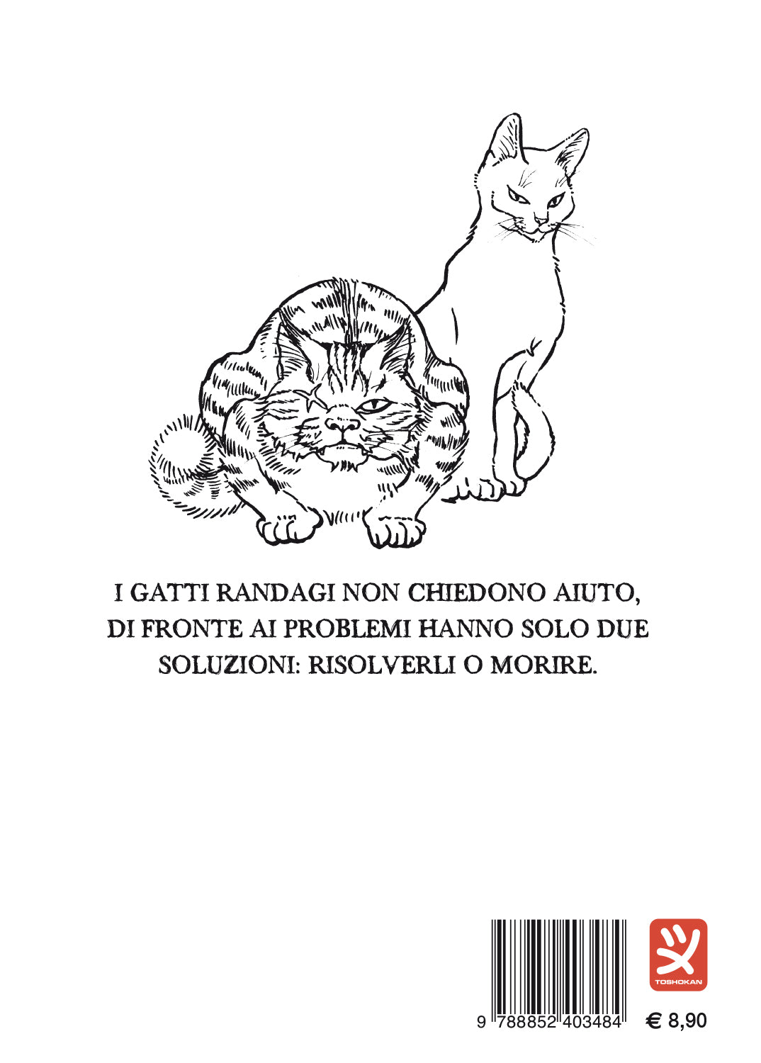 RANDAGI - VITA DA GATTI VOL. 3