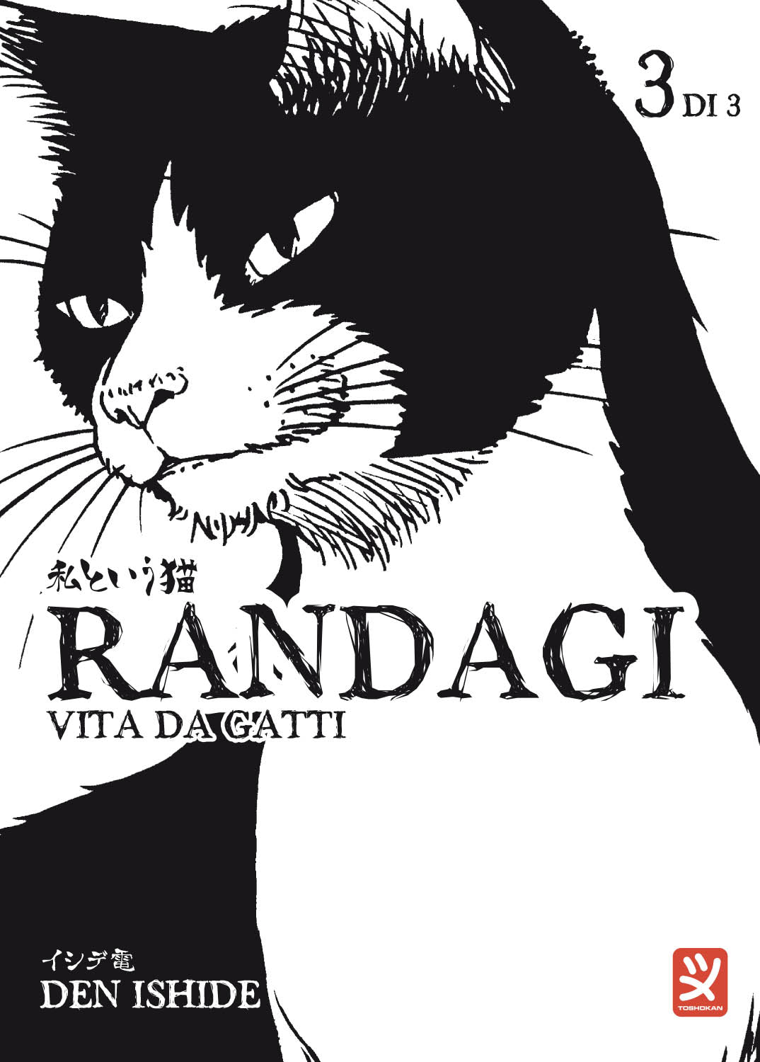 RANDAGI - VITA DA GATTI VOL. 3