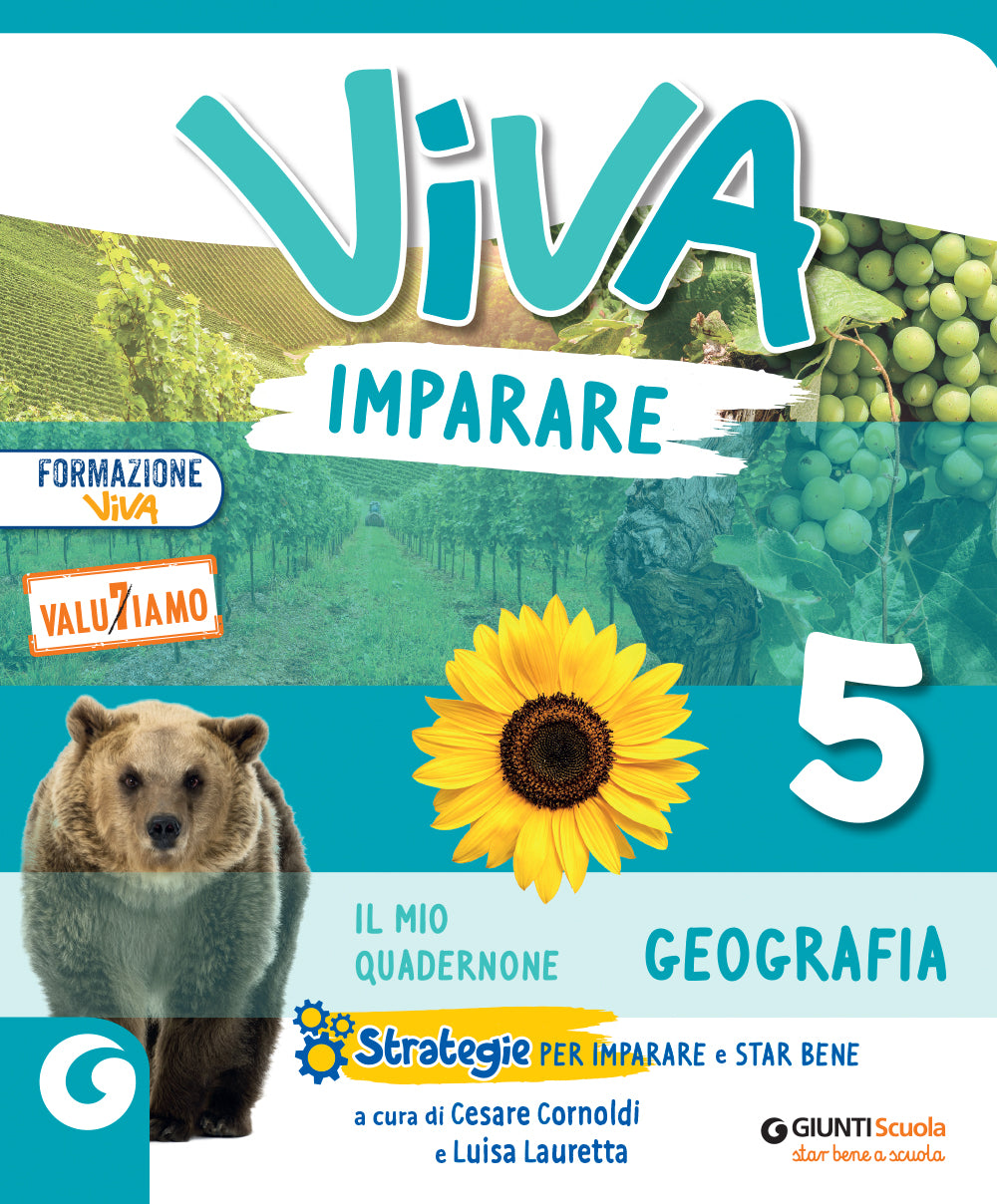 VIVA IMPARARE -  cl 5 Geografia. Sussidiario delle discipline