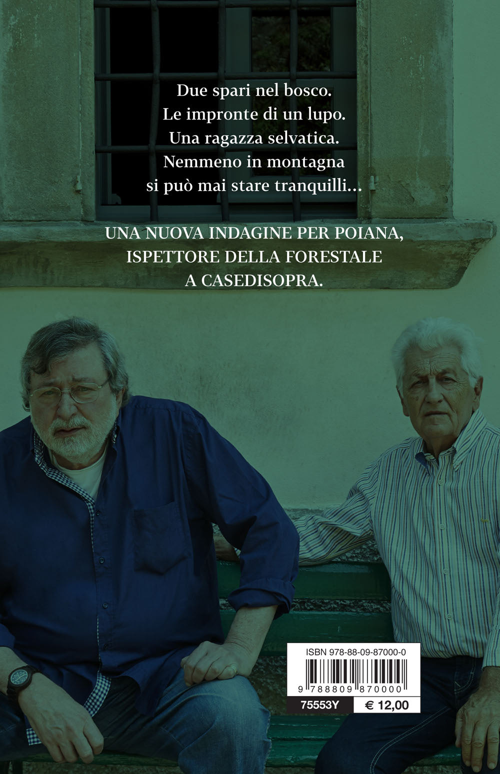 Tempo da elfi. Romanzo di boschi, lupi e altri misteri