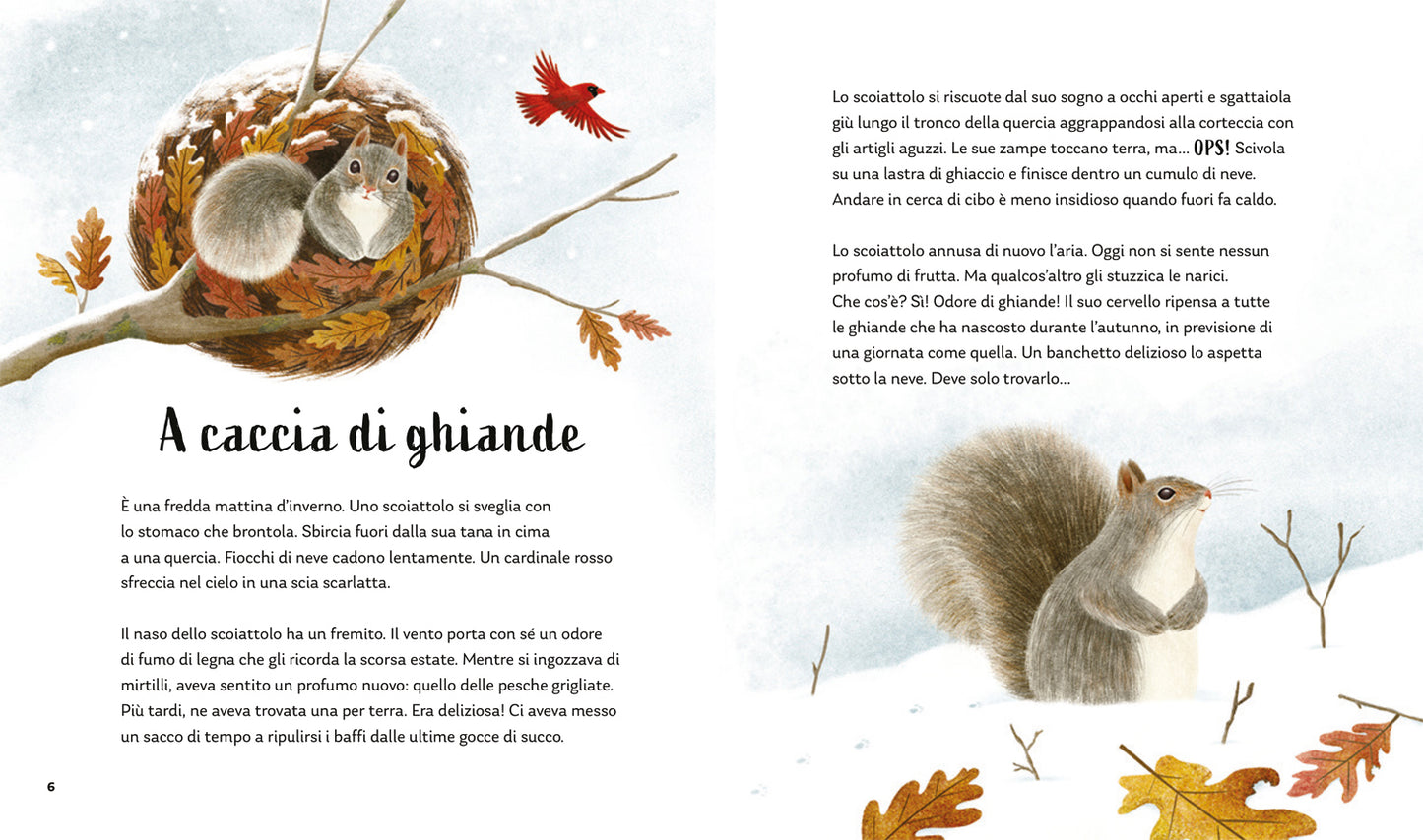I segreti della foresta. Storie della buonanotte per scoprire la natura