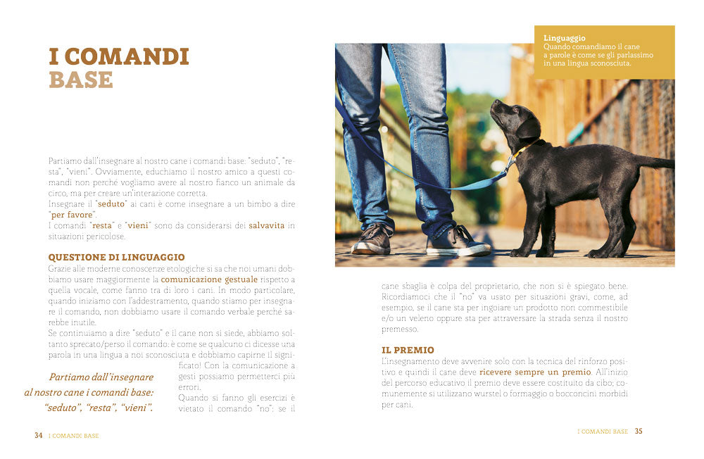 L'educazione del tuo cane