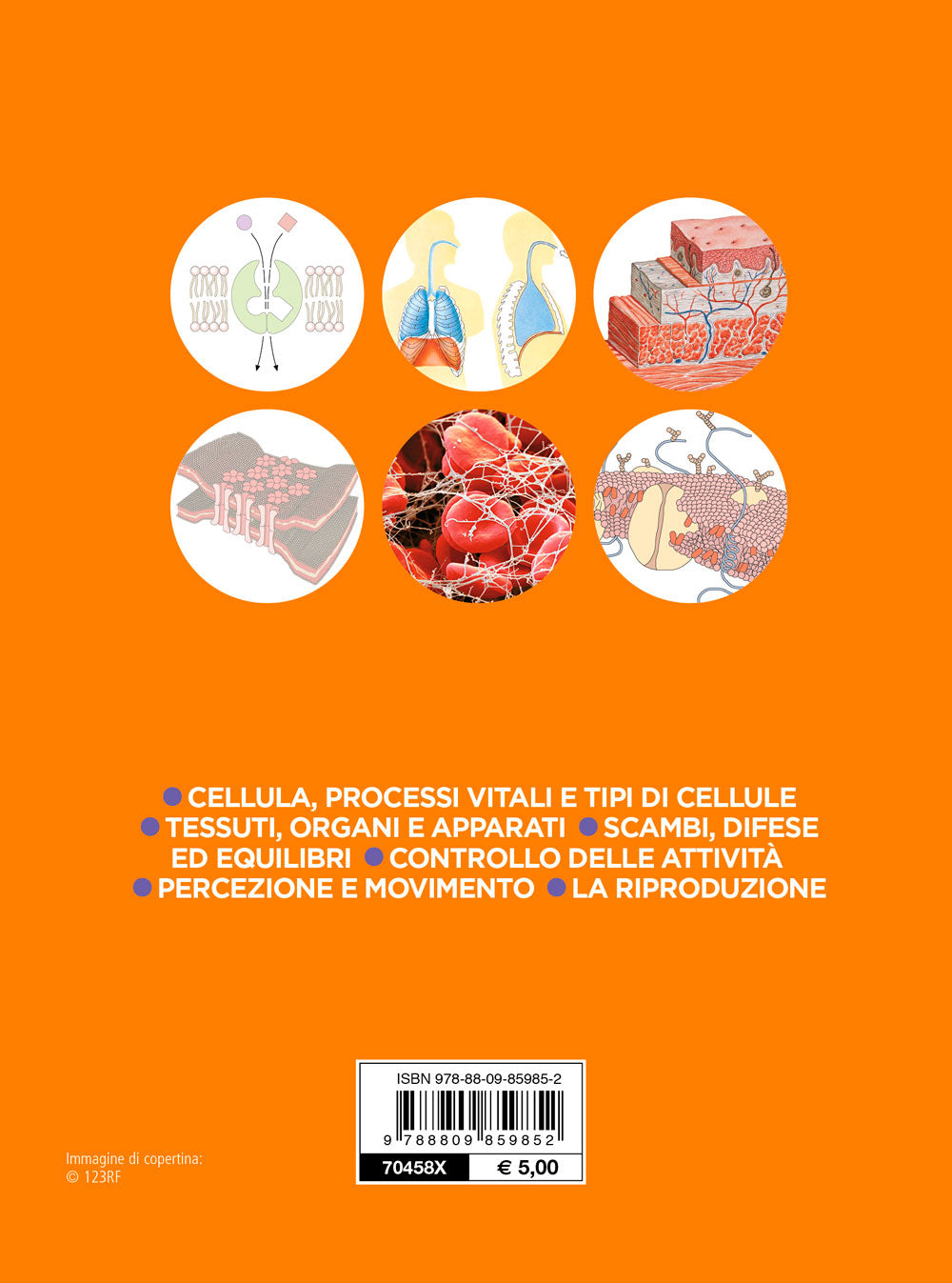 Fisiologia umana. La cellula e i processi vitali di base - Tipi di cellule - Scambi fra ambiente interno e ambiente esterno - L'ambiente interno -  Controllo elettrico, biochimico e chimico delle attività corporee -  Interazioni con l'ambiente - La ripro