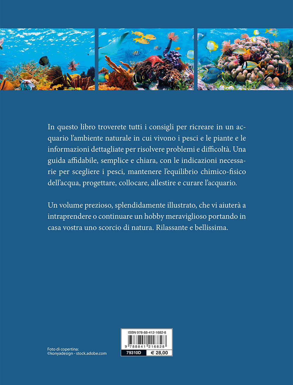 L'acquario spettacolare . tutto il fascino del mondo sommerso