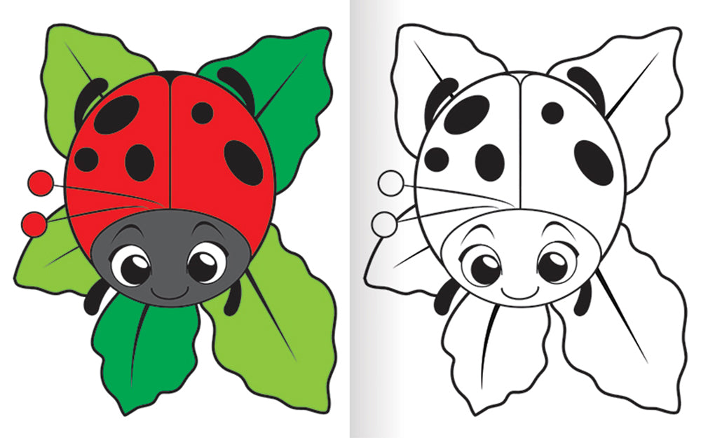 Colorare in 3D Insetti. Tante pagine da colorare - 5 insetti da costruire