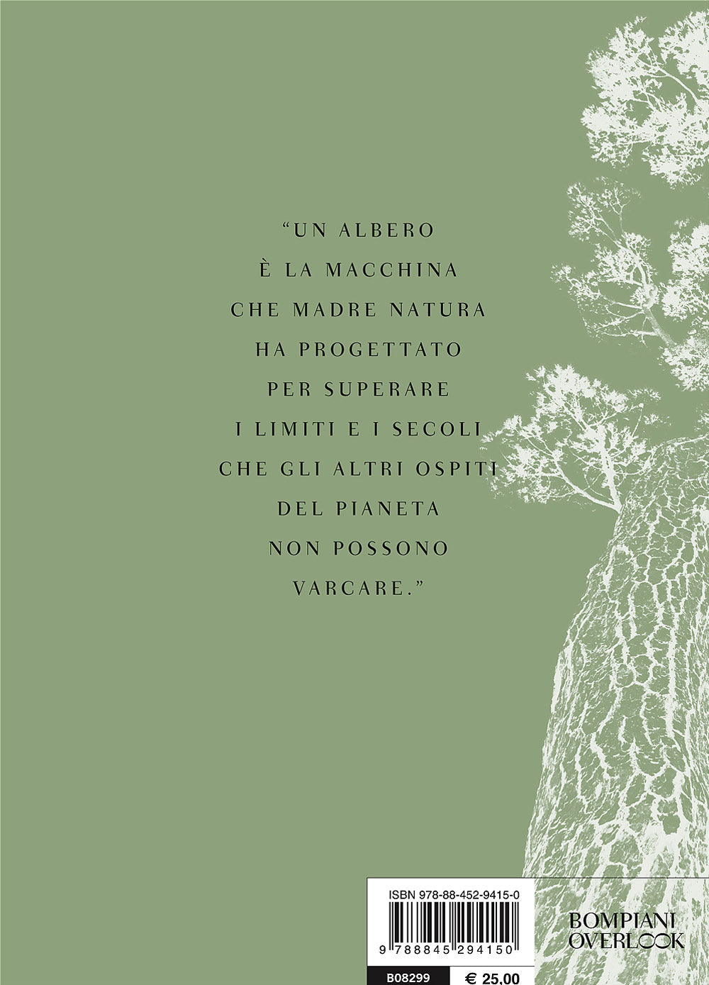 I giganti silenziosi. Gli alberi monumento delle città italiane