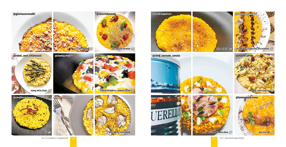 Tutti i colori di  / All the colors of  Acquerello. ispirazioni di riso / rice inspirations