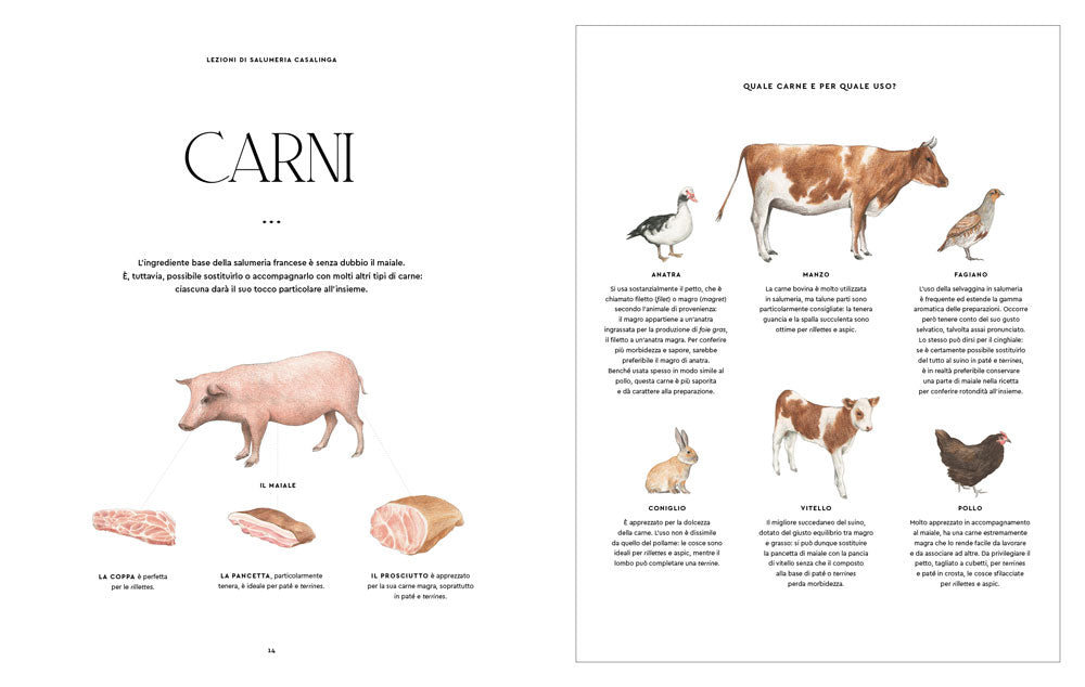 Terrines, rillettes, salsicce e pasticci. 80 ricette casalinghe della grande tradizione francese