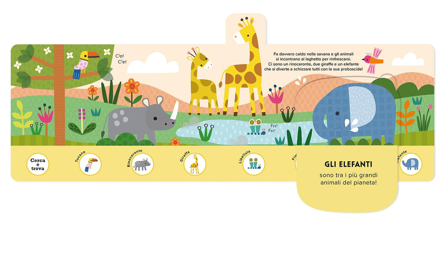 Animali selvaggi